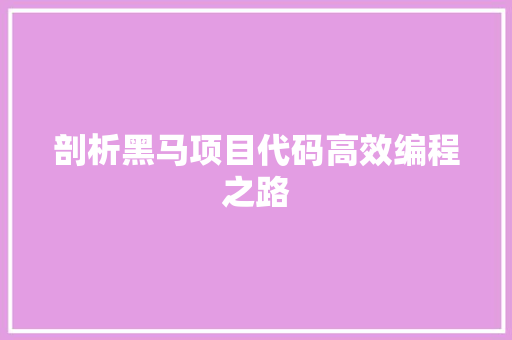剖析黑马项目代码高效编程之路