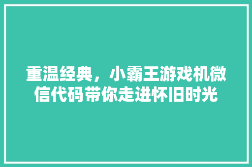 重温经典，小霸王游戏机微信代码带你走进怀旧时光