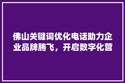 佛山关键词优化电话助力企业品牌腾飞，开启数字化营销新时代_佛山关键词优化电话
