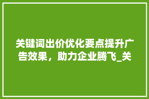 关键词出价优化要点提升广告效果，助力企业腾飞_关键词出价优化要点