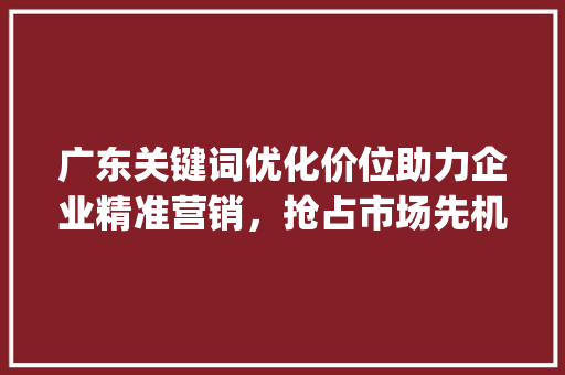 广东关键词优化价位助力企业精准营销，抢占市场先机_广东关键词优化价位