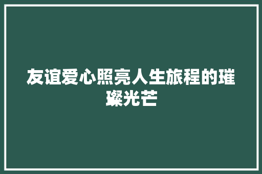 友谊爱心照亮人生旅程的璀璨光芒