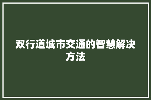 双行道城市交通的智慧解决方法