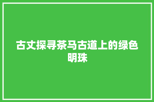 古丈探寻茶马古道上的绿色明珠