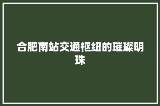 合肥南站交通枢纽的璀璨明珠