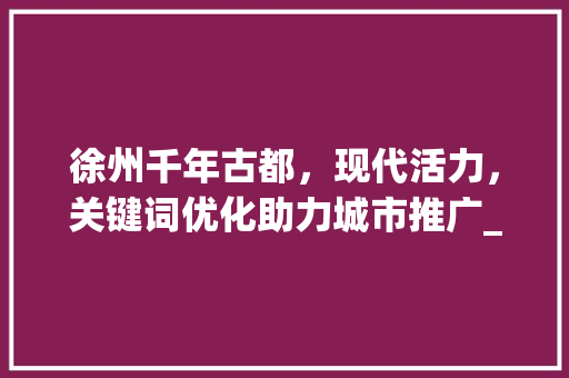 徐州千年古都，现代活力，关键词优化助力城市推广_徐州关键词排名优化推广
