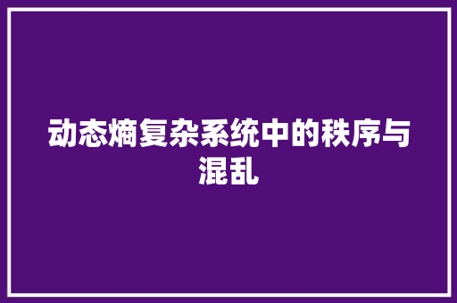动态熵复杂系统中的秩序与混乱