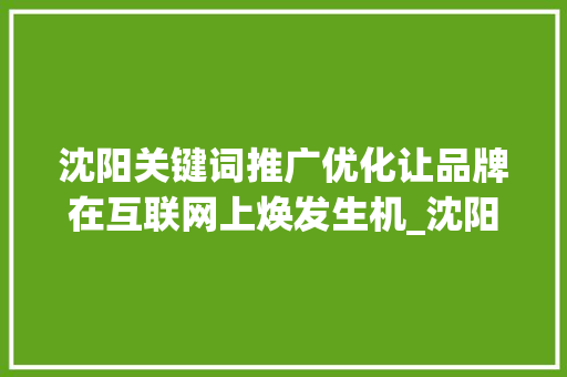 沈阳关键词推广优化让品牌在互联网上焕发生机_沈阳关键词推广优化排名