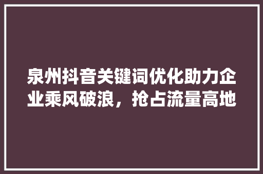 泉州抖音关键词优化助力企业乘风破浪，抢占流量高地_泉州抖音关键词优化公司