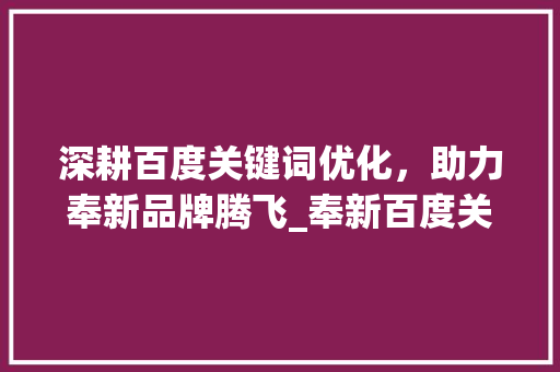深耕百度关键词优化，助力奉新品牌腾飞_奉新百度关键词优化