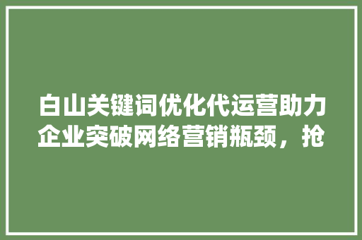 白山关键词优化代运营助力企业突破网络营销瓶颈，抢占市场先机_白山关键词优化代运营团队