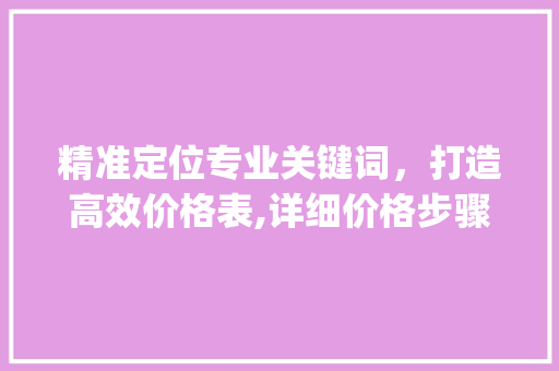 精准定位专业关键词，打造高效价格表,详细价格步骤优化_专业关键词优化价格表