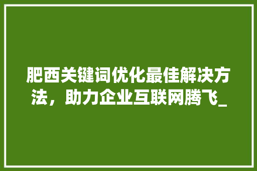 肥西关键词优化最佳解决方法，助力企业互联网腾飞_肥西关键词优化哪家好