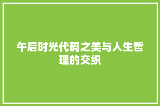 午后时光代码之美与人生哲理的交织