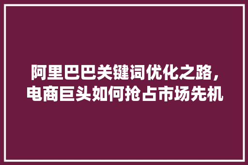 阿里巴巴关键词优化之路，电商巨头如何抢占市场先机_阿里巴巴标题关键词优化