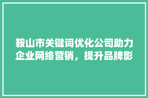 鞍山市关键词优化公司助力企业网络营销，提升品牌影响力_鞍山市关键词优化公司