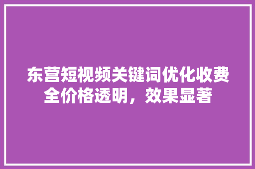 东营短视频关键词优化收费全价格透明，效果显著