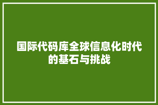 国际代码库全球信息化时代的基石与挑战