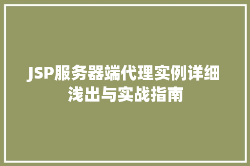JSP服务器端代理实例详细浅出与实战指南