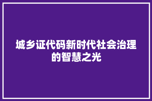 城乡证代码新时代社会治理的智慧之光