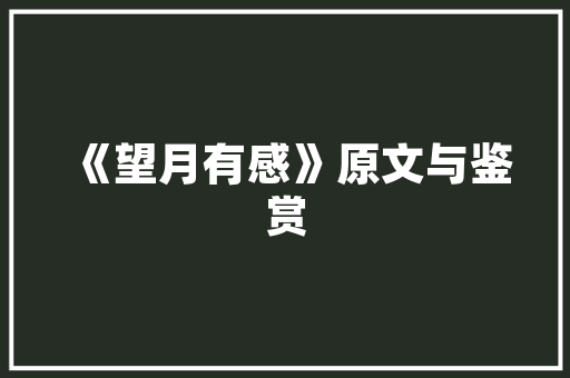 啵乐代码创新科技引领未来智能生活