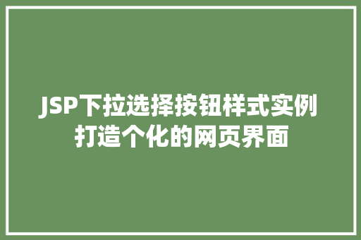 JSP下拉选择按钮样式实例打造个化的网页界面  第1张