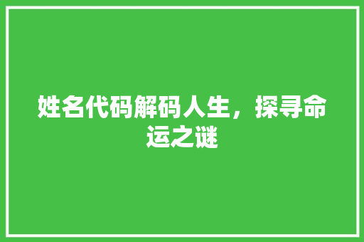 姓名代码解码人生，探寻命运之谜