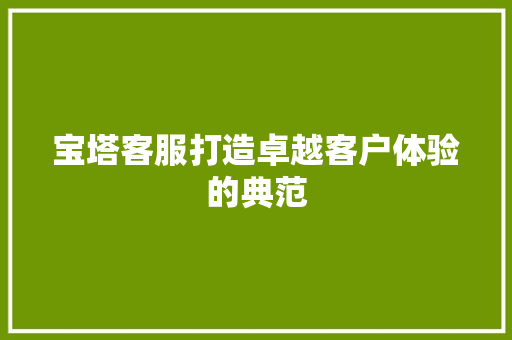 宝塔客服打造卓越客户体验的典范