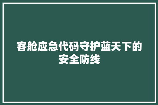 客舱应急代码守护蓝天下的安全防线