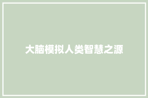 大脑模拟人类智慧之源