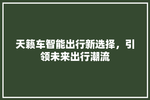 天籁车智能出行新选择，引领未来出行潮流