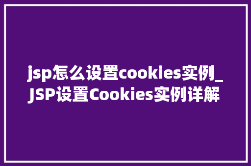 jsp怎么设置cookies实例_JSP设置Cookies实例详解新手快速上手指南