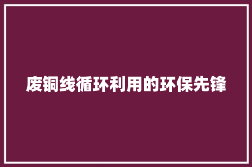 废铜线循环利用的环保先锋