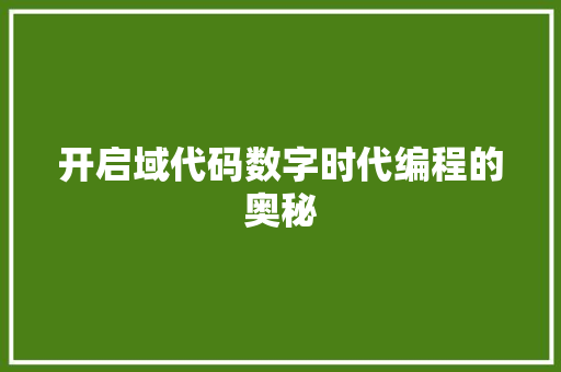 开启域代码数字时代编程的奥秘
