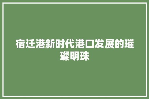 宿迁港新时代港口发展的璀璨明珠