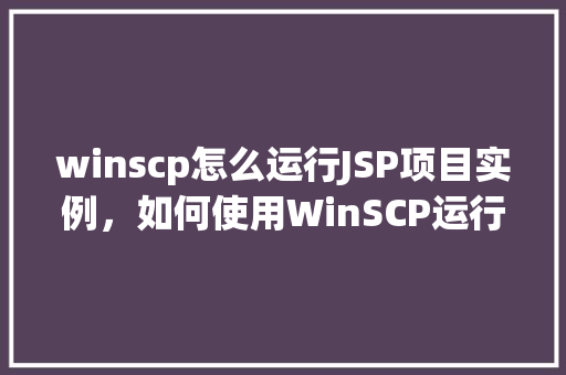 winscp怎么运行JSP项目实例，如何使用WinSCP运行JSP项目实例教程  第1张