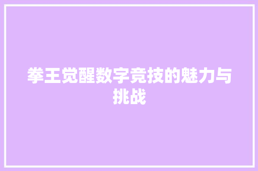 拳王觉醒数字竞技的魅力与挑战