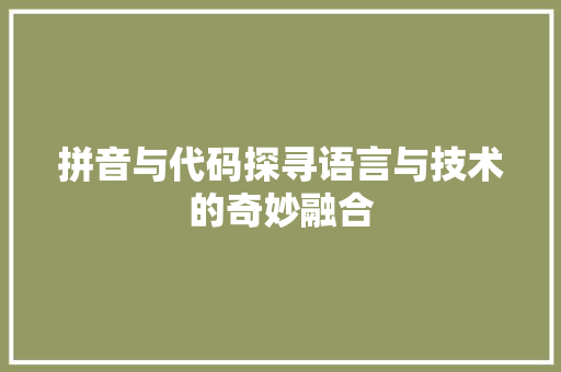 拼音与代码探寻语言与技术的奇妙融合