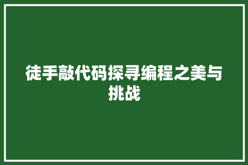 徒手敲代码探寻编程之美与挑战