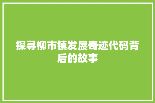 探寻柳市镇发展奇迹代码背后的故事
