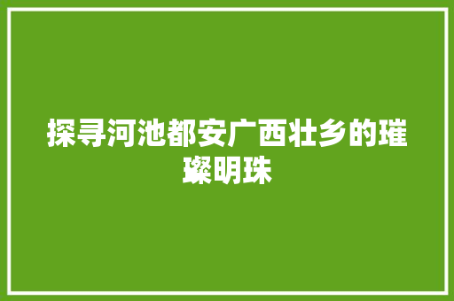 探寻河池都安广西壮乡的璀璨明珠