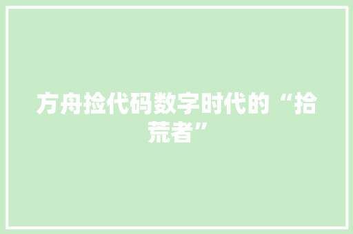 方舟捡代码数字时代的“拾荒者”