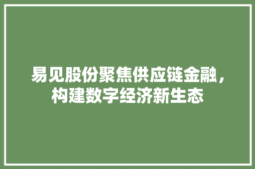 易见股份聚焦供应链金融，构建数字经济新生态