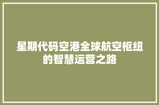星期代码空港全球航空枢纽的智慧运营之路