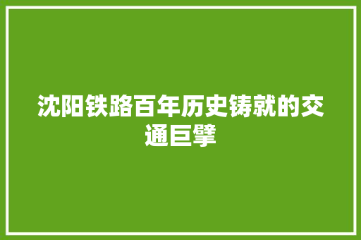 沈阳铁路百年历史铸就的交通巨擘