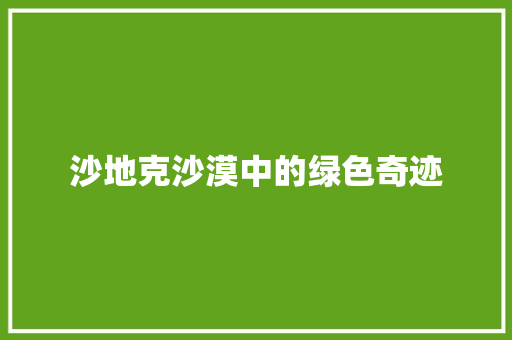沙地克沙漠中的绿色奇迹