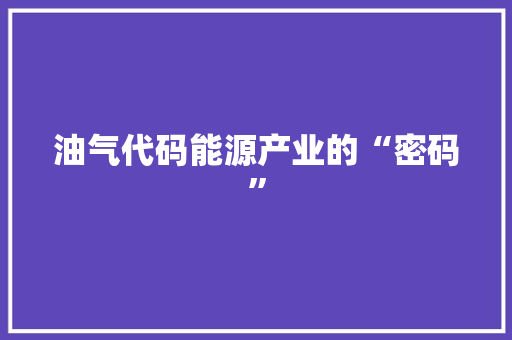 油气代码能源产业的“密码”