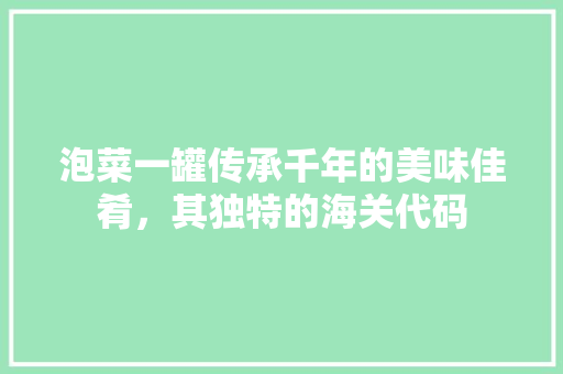 泡菜一罐传承千年的美味佳肴，其独特的海关代码