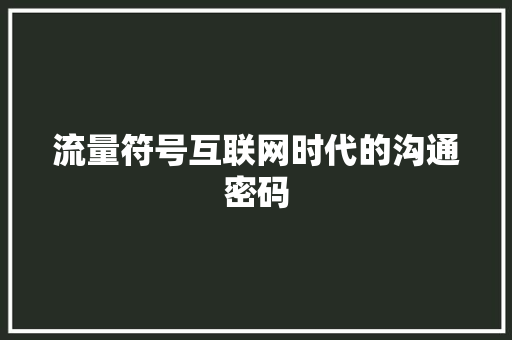 流量符号互联网时代的沟通密码