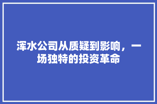 浑水公司从质疑到影响，一场独特的投资革命